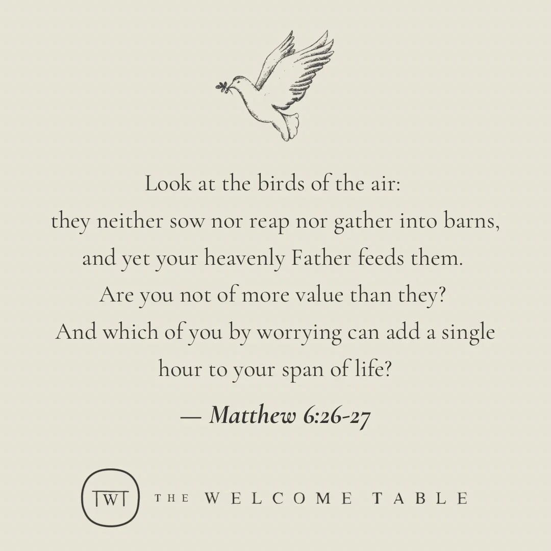 God of the birds and the lilies,
Teach us to breathe deeply,
and to notice the gifts right in front of us,
Quiet our restless hearts,
and remind us that your love and care
is enough for today.
Amen.

#tabletalk #togetherness #diversity #allvoices #yo