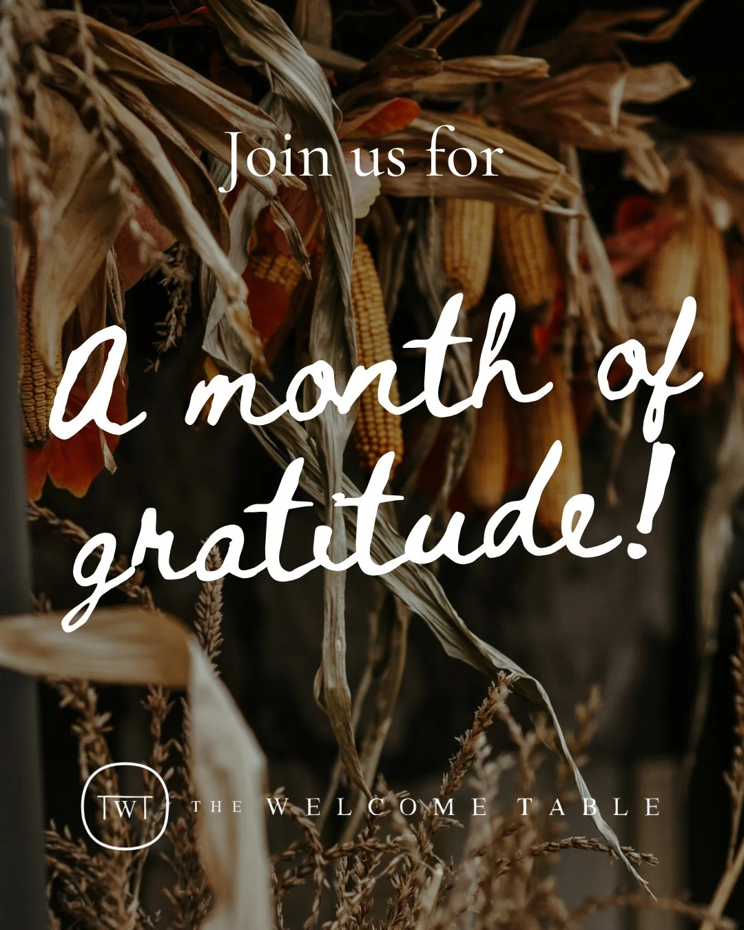 Can you believe it is already November, y'all!!! 

Before you know it, we are going to find ourselves in the the middle of the Advent season. We want to take the next few weeks to slow it down a bit, and offer &ldquo;A Month of Gratitude&rdquo; for a