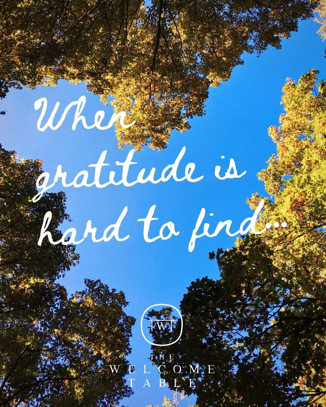 Even now, when gratitude seems to be the word of the moment for so many things - books, lists, seasons.  Gratitude can be difficult to find.​​​​​​​​
​​​​​​​​
Has gratitude ever been difficult for you to find? What helped you shift out of that space? 
