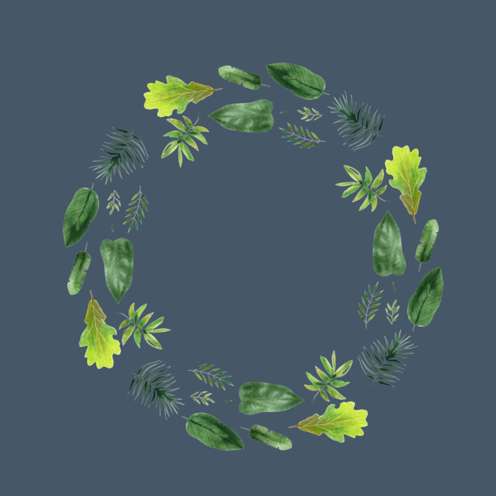 Copy of Untitled.png