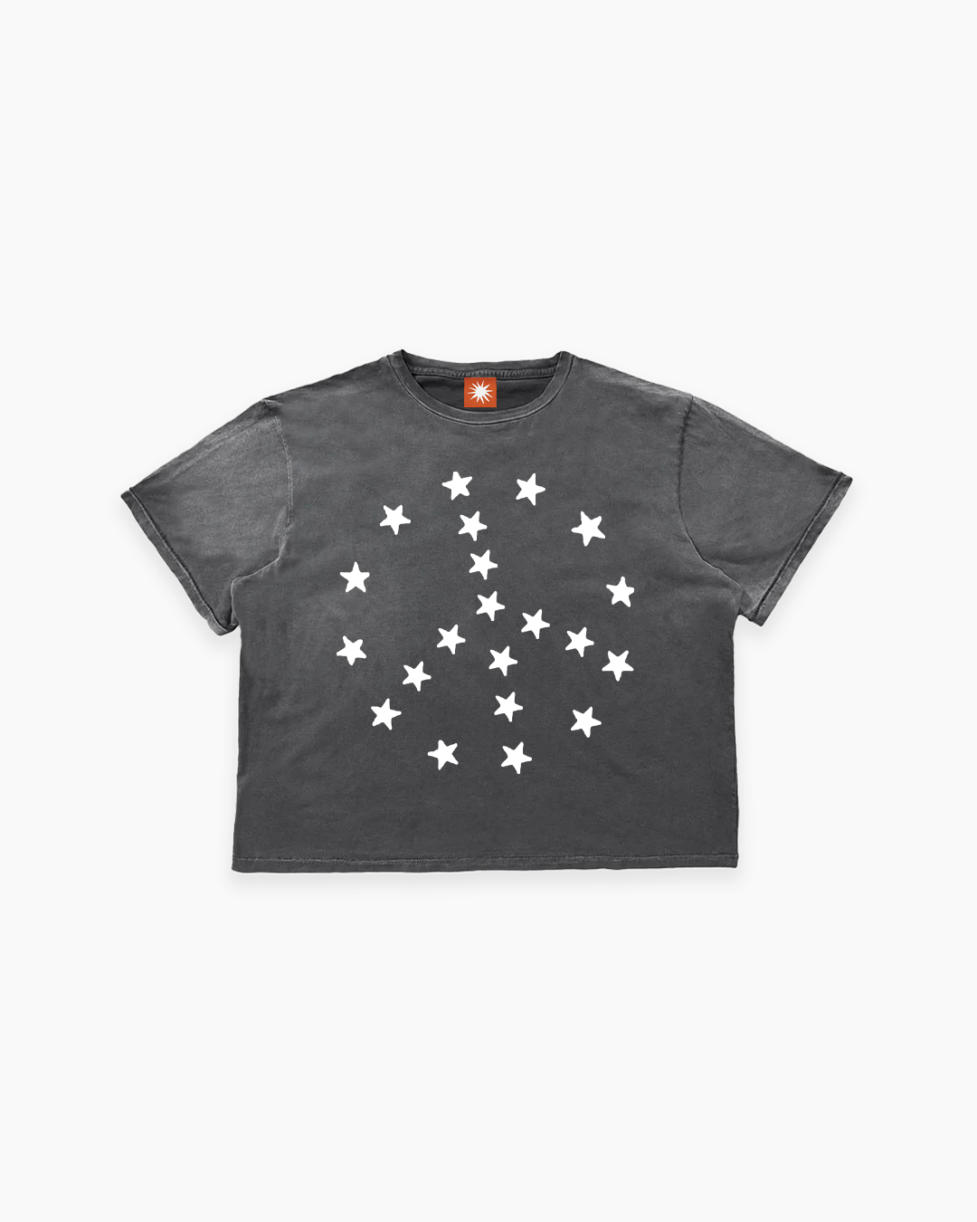 "Tool" Sun Faded Tee
