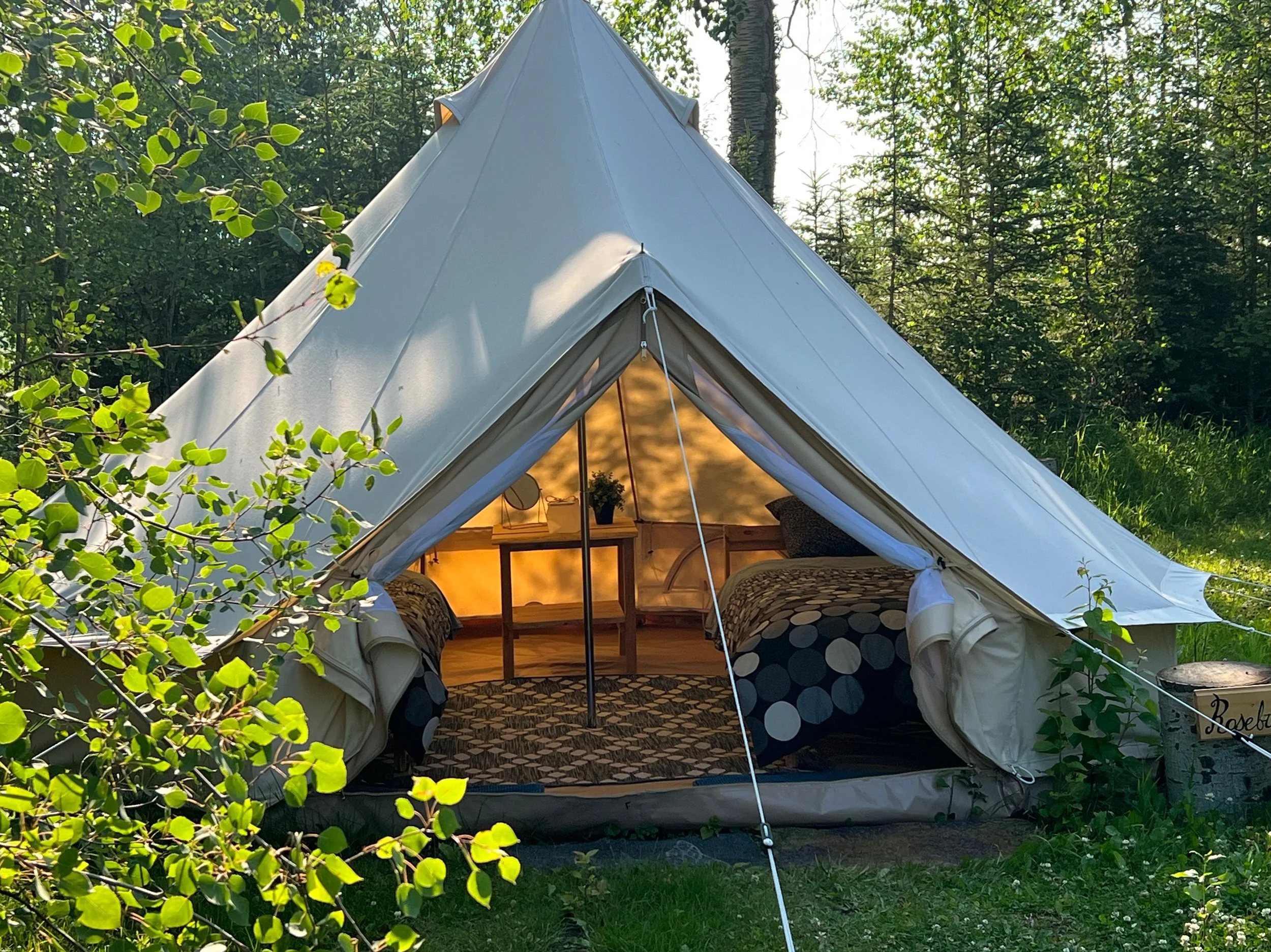 canvas Bell Tent in forest
