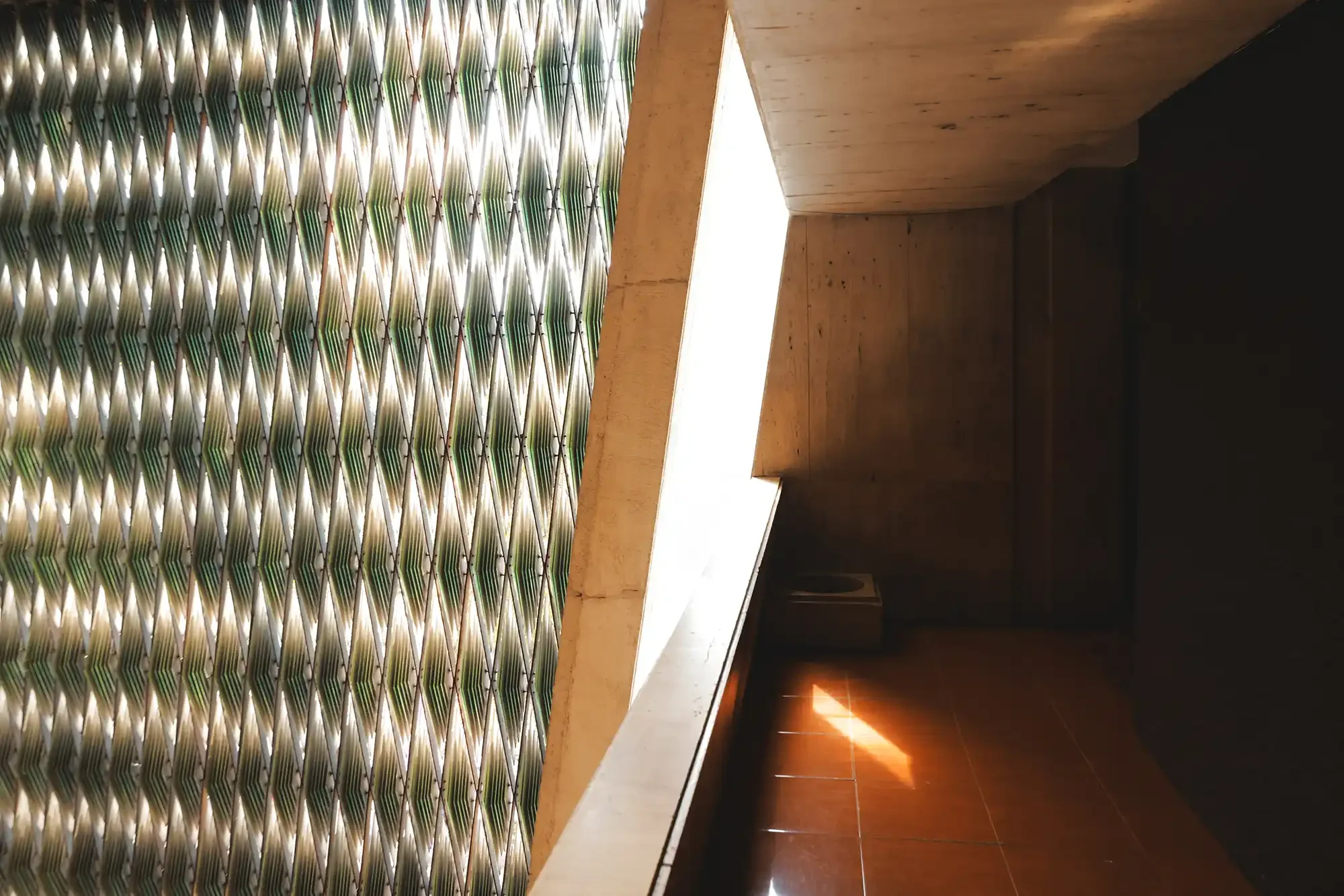 IMG_8055 (1) copy.webp