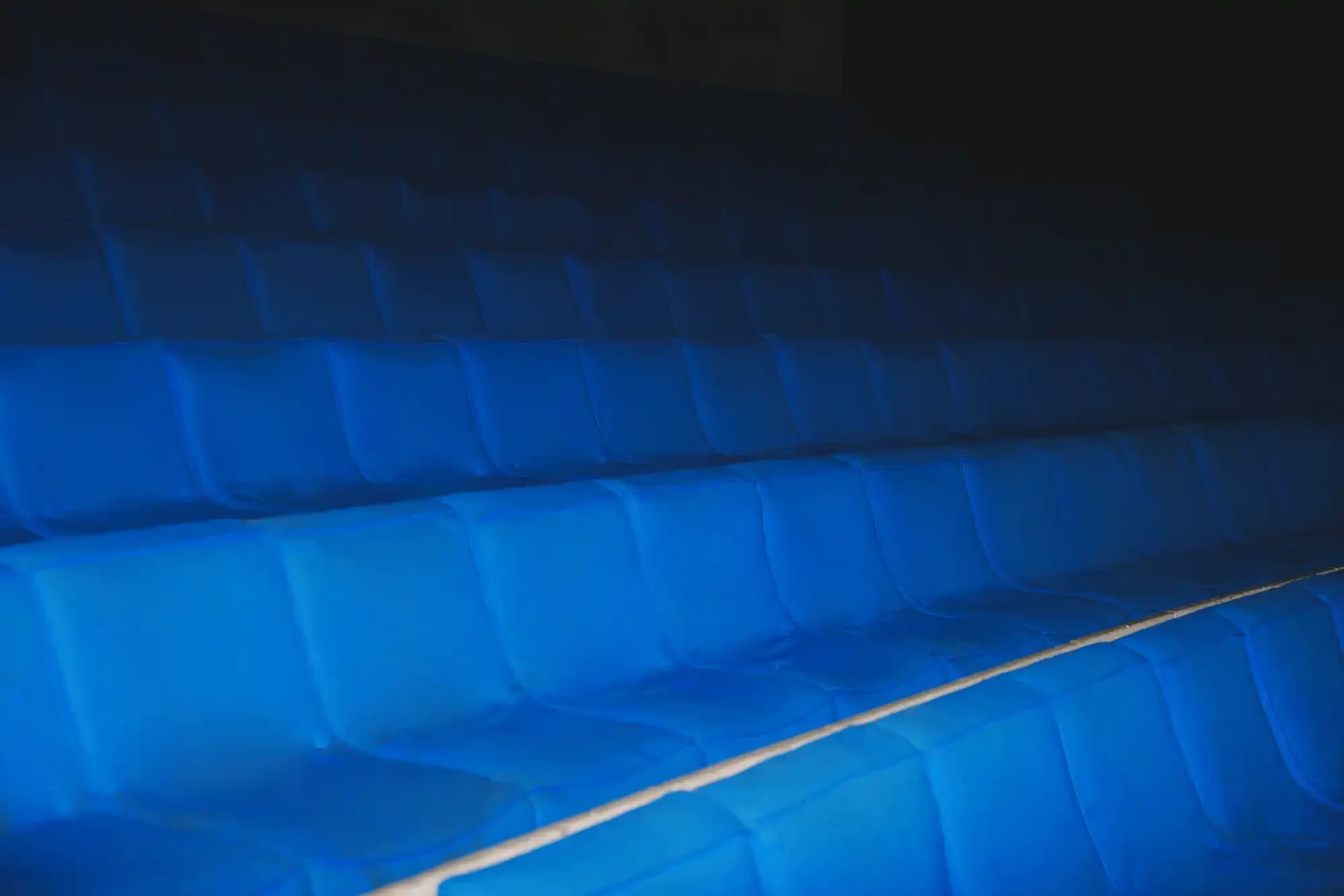 IMG_8121 (1) copy.webp