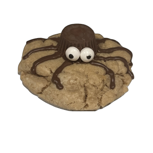 PB Spider