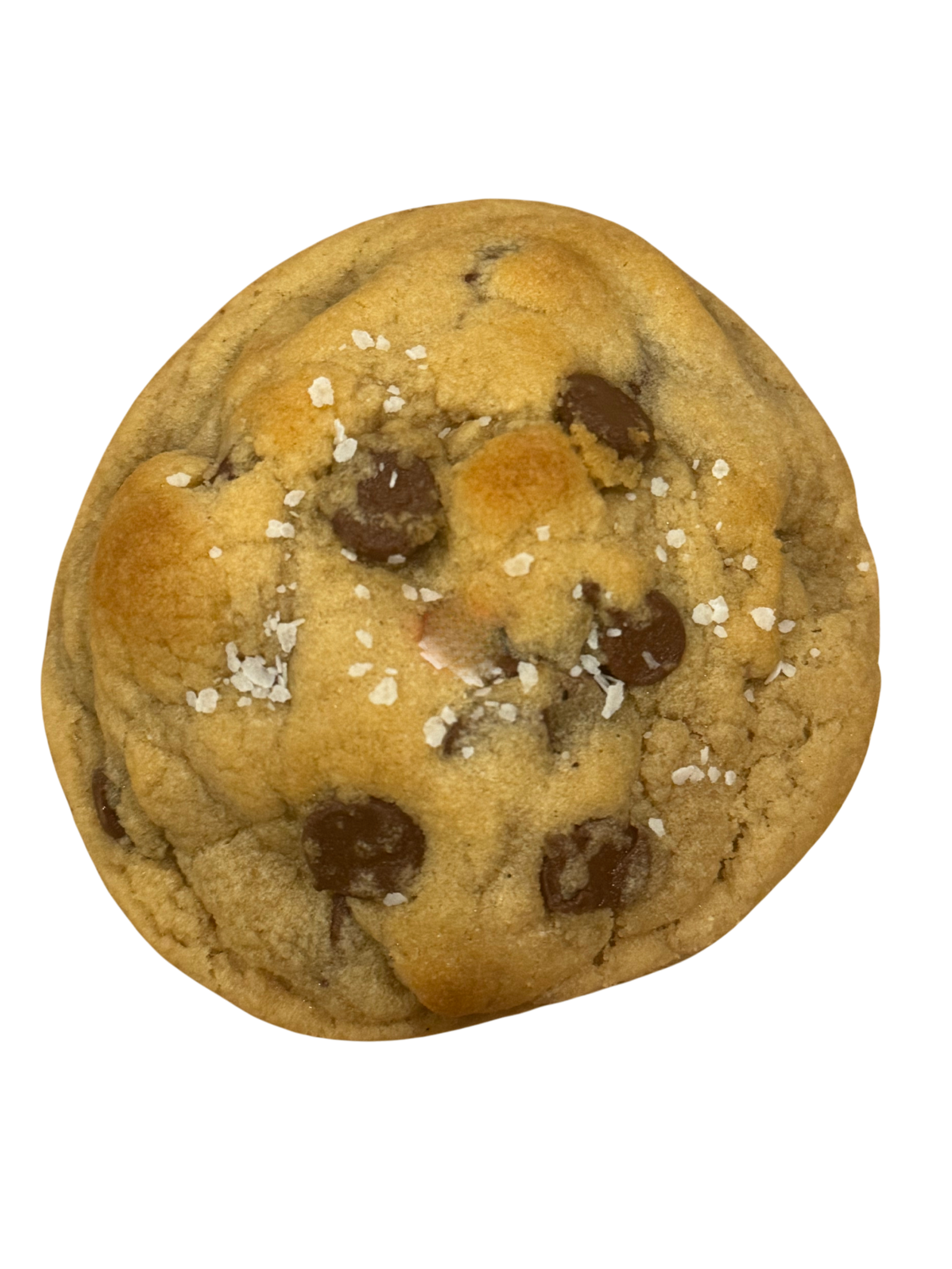 Salted Chocolate Chip