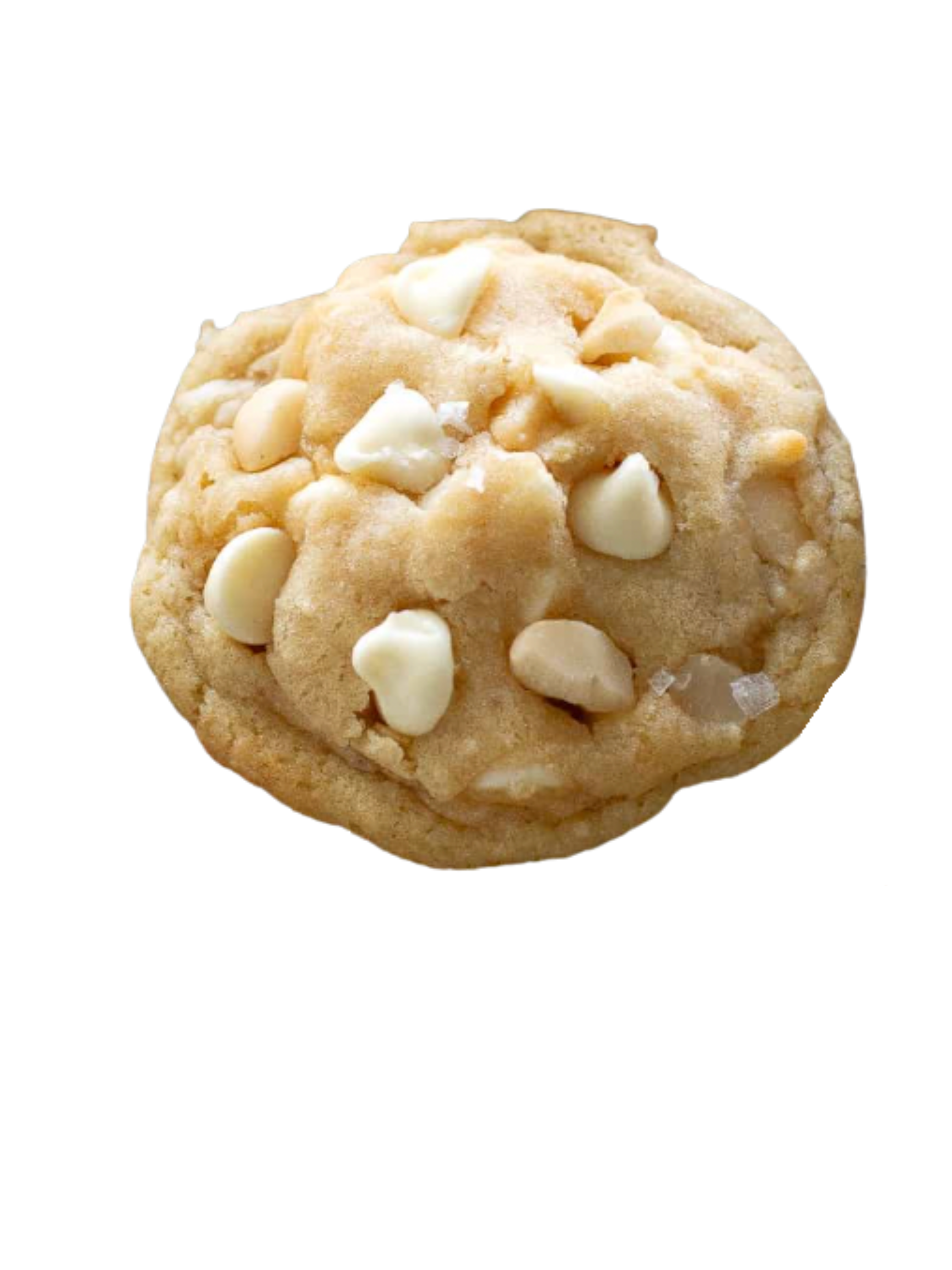 White Chocolate Macadamia Nut
