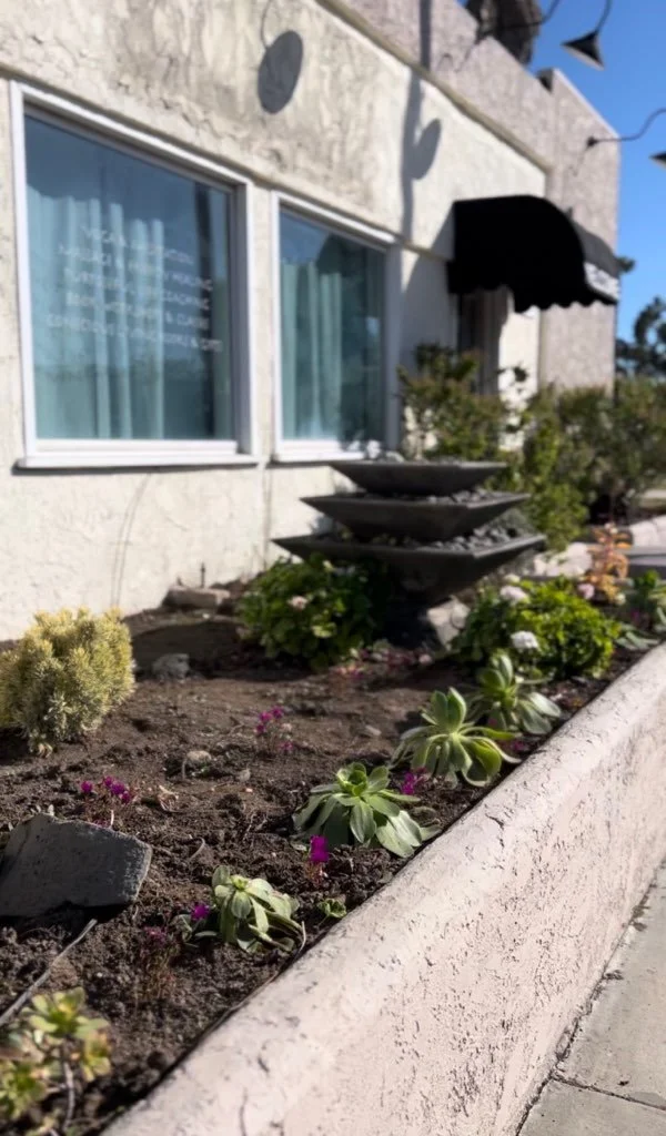 A sidewalk flower bed with plants and small pink flowers next to a building with windows and an awning