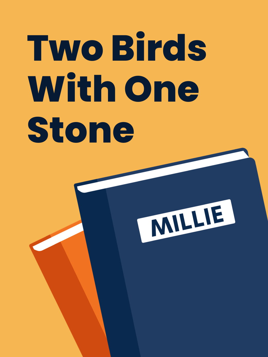 Two Birds With One Stone.png