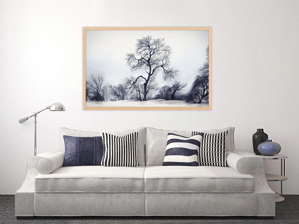 winter_trees_maple.jpg