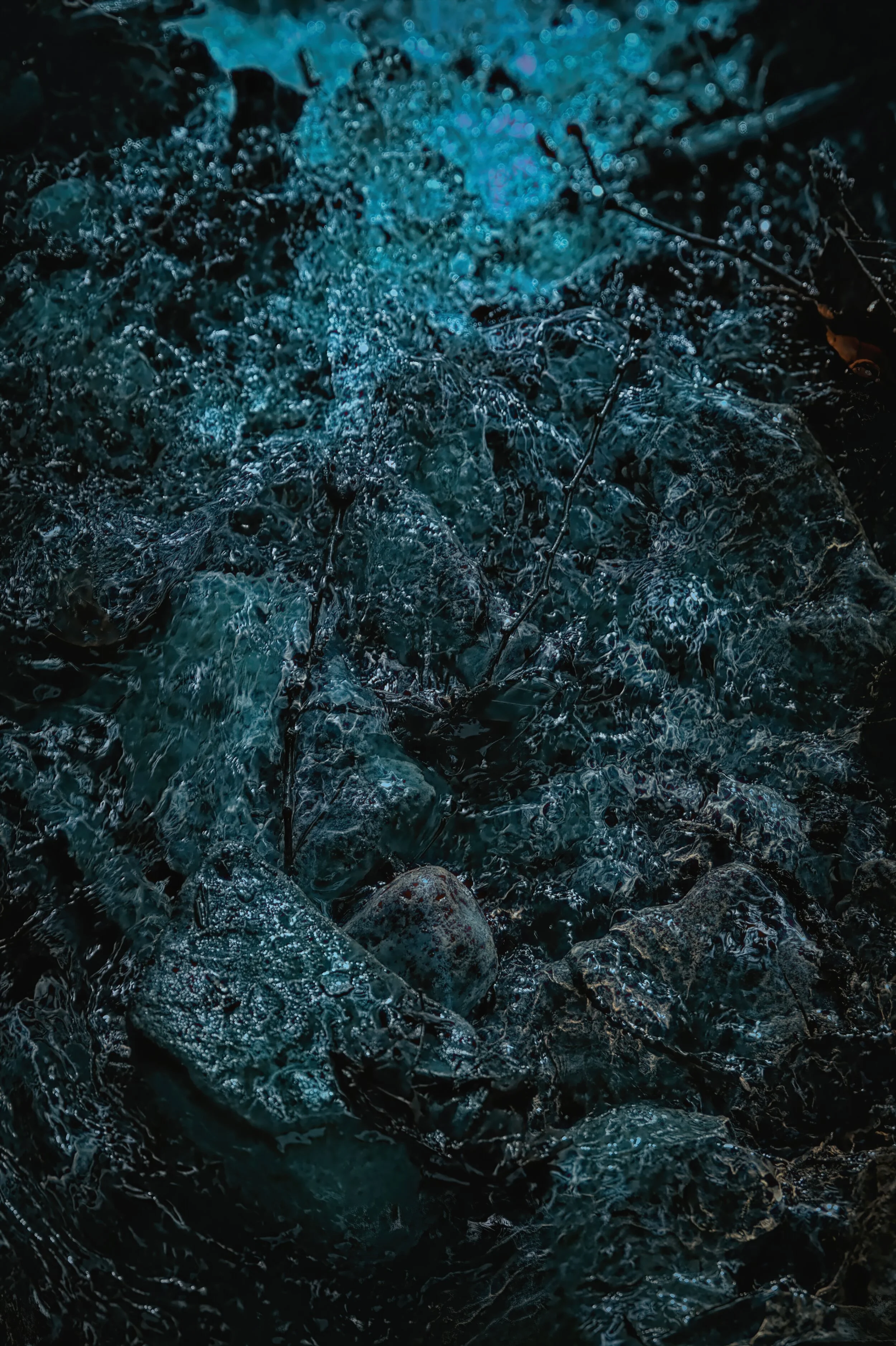 UNC_7662-studio-studio.jpg