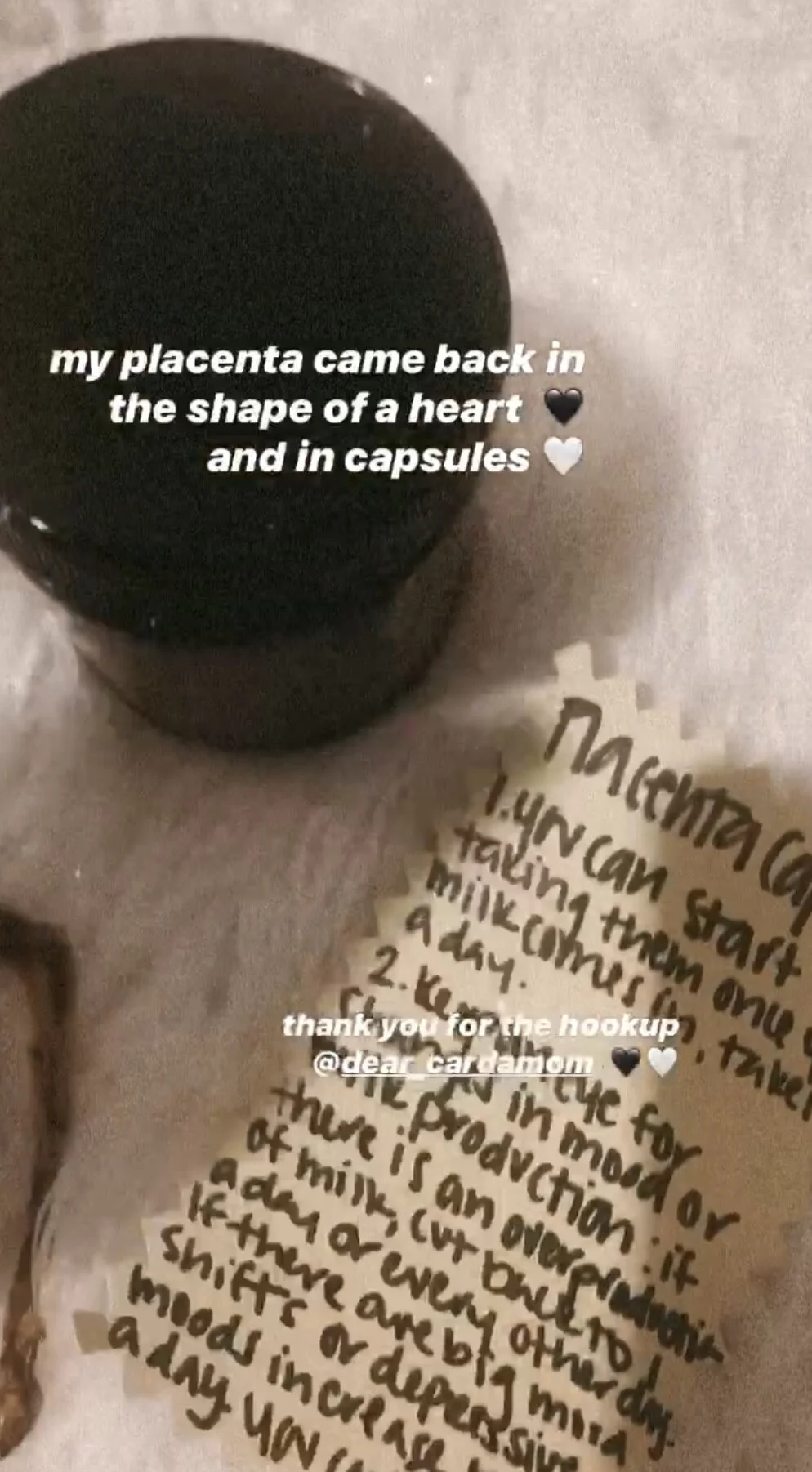 Placenta1.jpeg