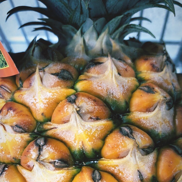 In Hawaii right now &amp; found the most vibrant and beautifully colored golden pineapple! 🍍 💛 Just a great reminder to eat the rainbow! 🌈

Additionally, ✨ bromelain ✨ is an enzyme in pineapples that is known for its aspirin like effects to reduce