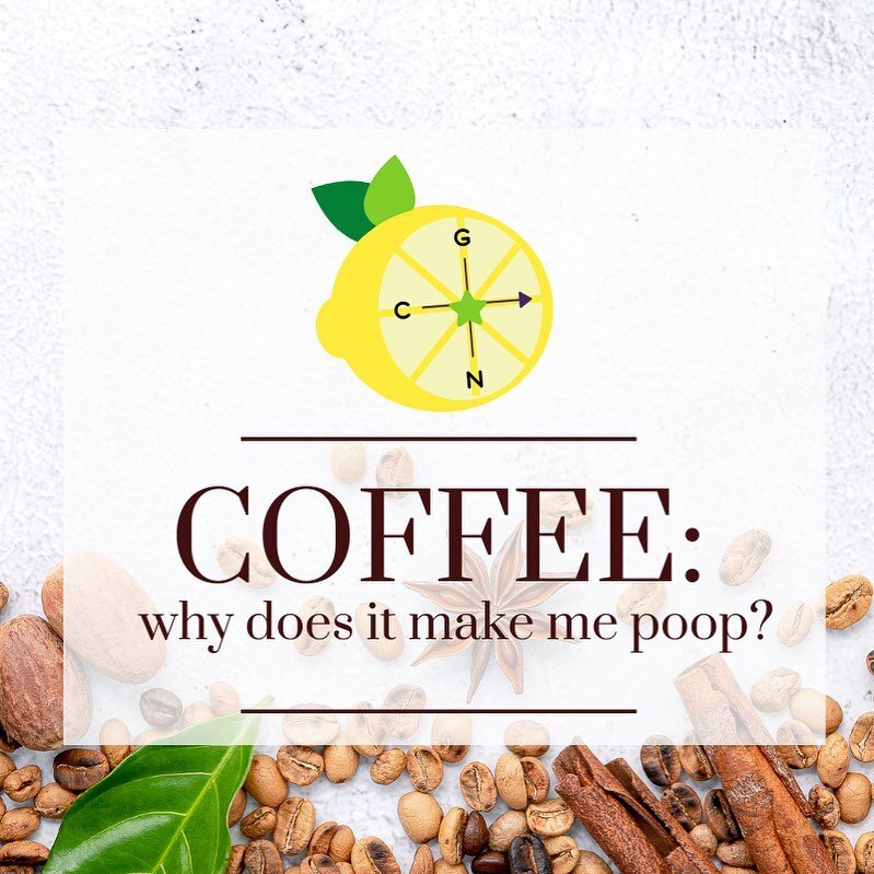 Why does coffee make you poop? 💩 

✨ 3 theories:✨

1) caffeine stimulates muscle contractions in your gut
2) irritation of the digestive tract may cause increased stomach acid and muscle contractions or spasms
3) increased hormones (e.g. gastrin and