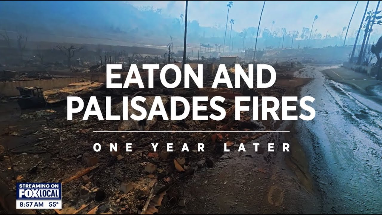 Eaton and Palisades Fires: One Year Later