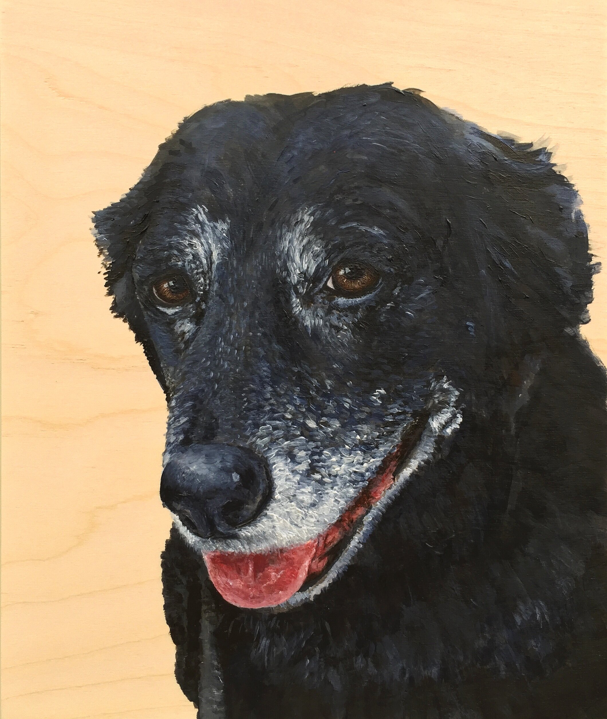 blackdog.jpg