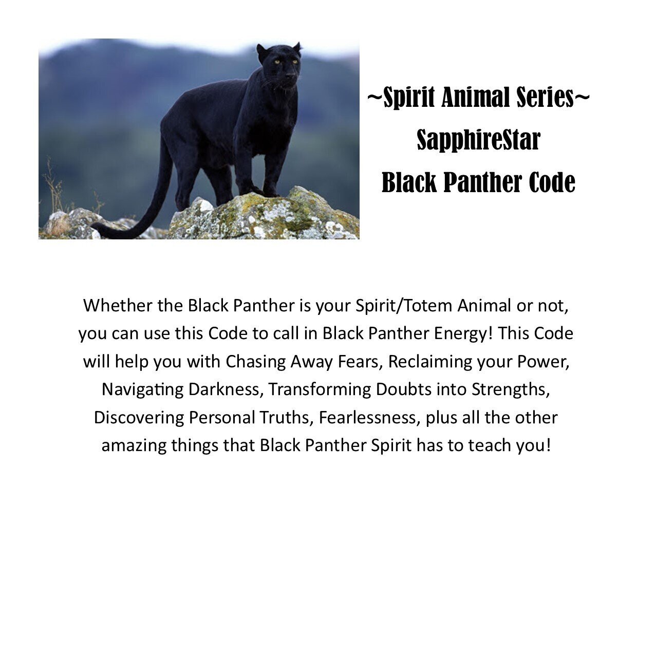 Black Panther Spirit Animal Code — Nelle Mack
