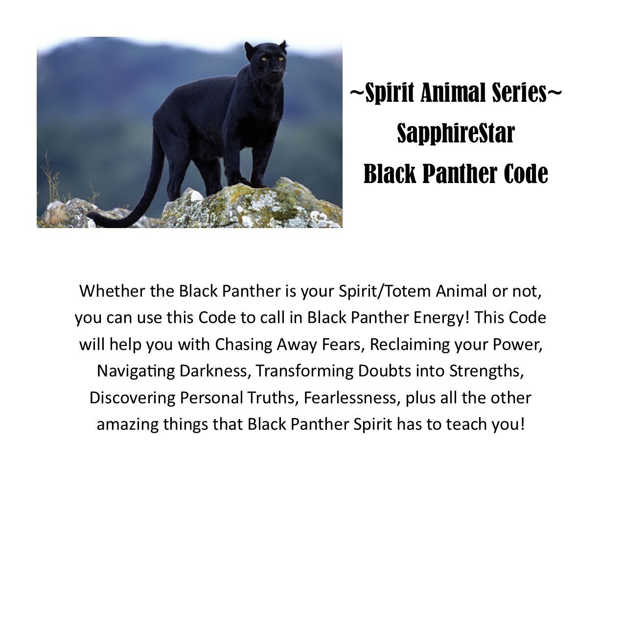 Black Panther Spirit Animal Code — Nelle Mack Black Panther Spirit Animal Code — Nelle Mack