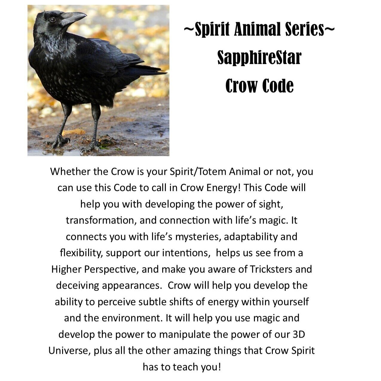 Crow Code — Nelle Mack