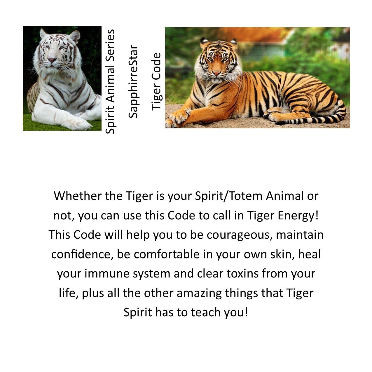 Tiger Code — Nelle Mack