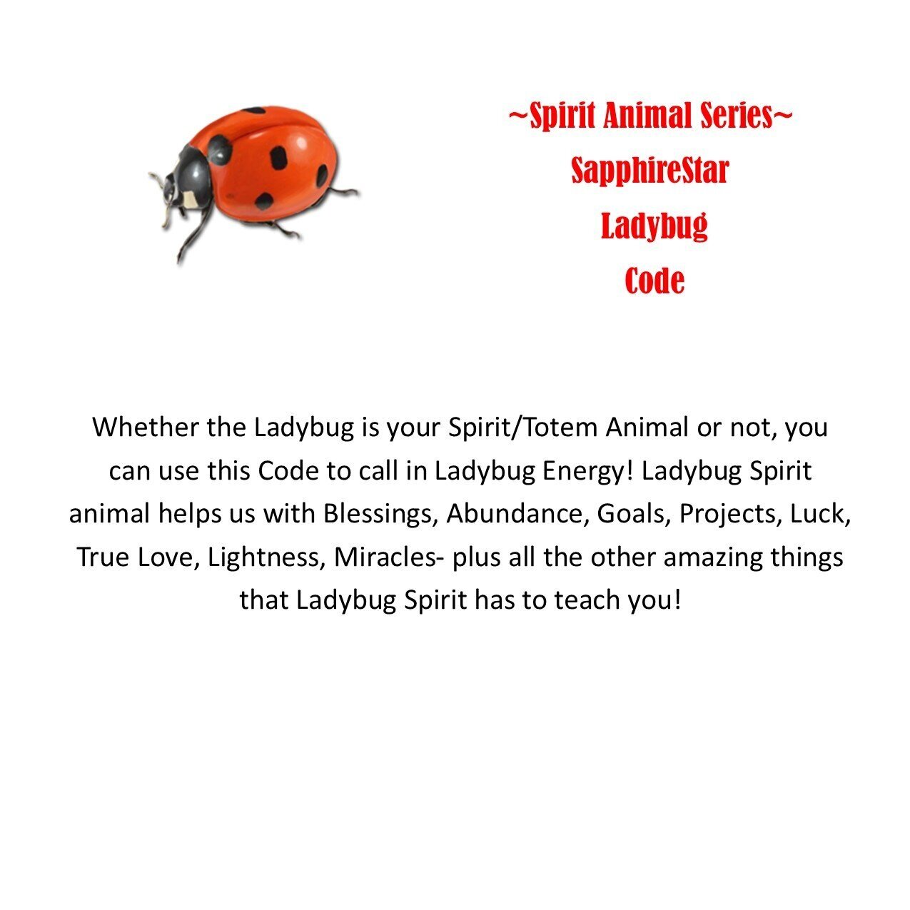 Ladybug Code — Nelle Mack
