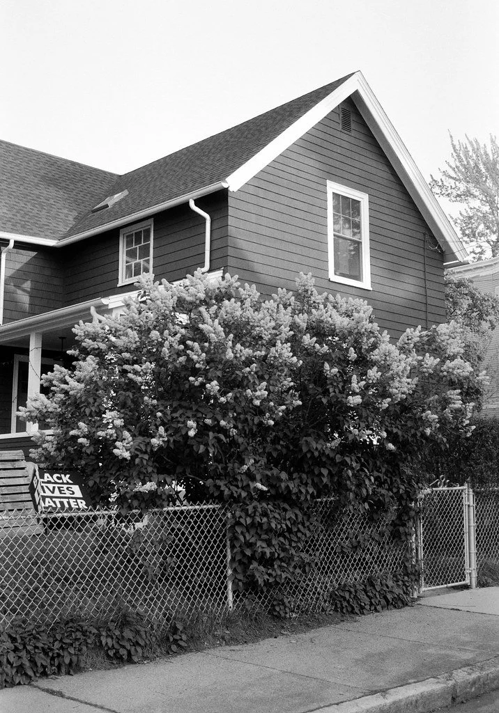 Nikon FM3a | Expired Kentmere 100
Scanned with Sony A7RIII &amp; Sigma 70mm macro
Converted with Negative Lab Pro