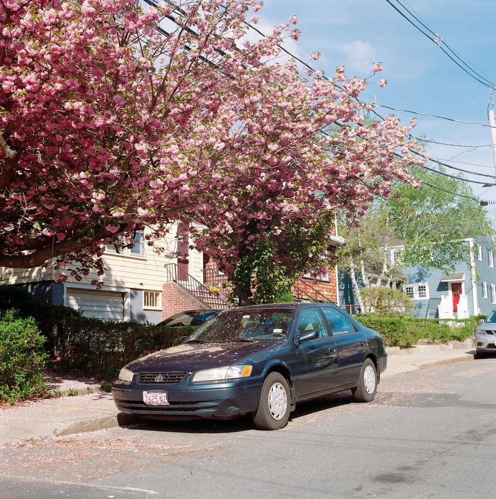 Yashica Mat 124g | Kodak Gold 200
Scanned with Sony A7RIII &amp; Sigma 70mm macro
Converted with Negative Lab Pro