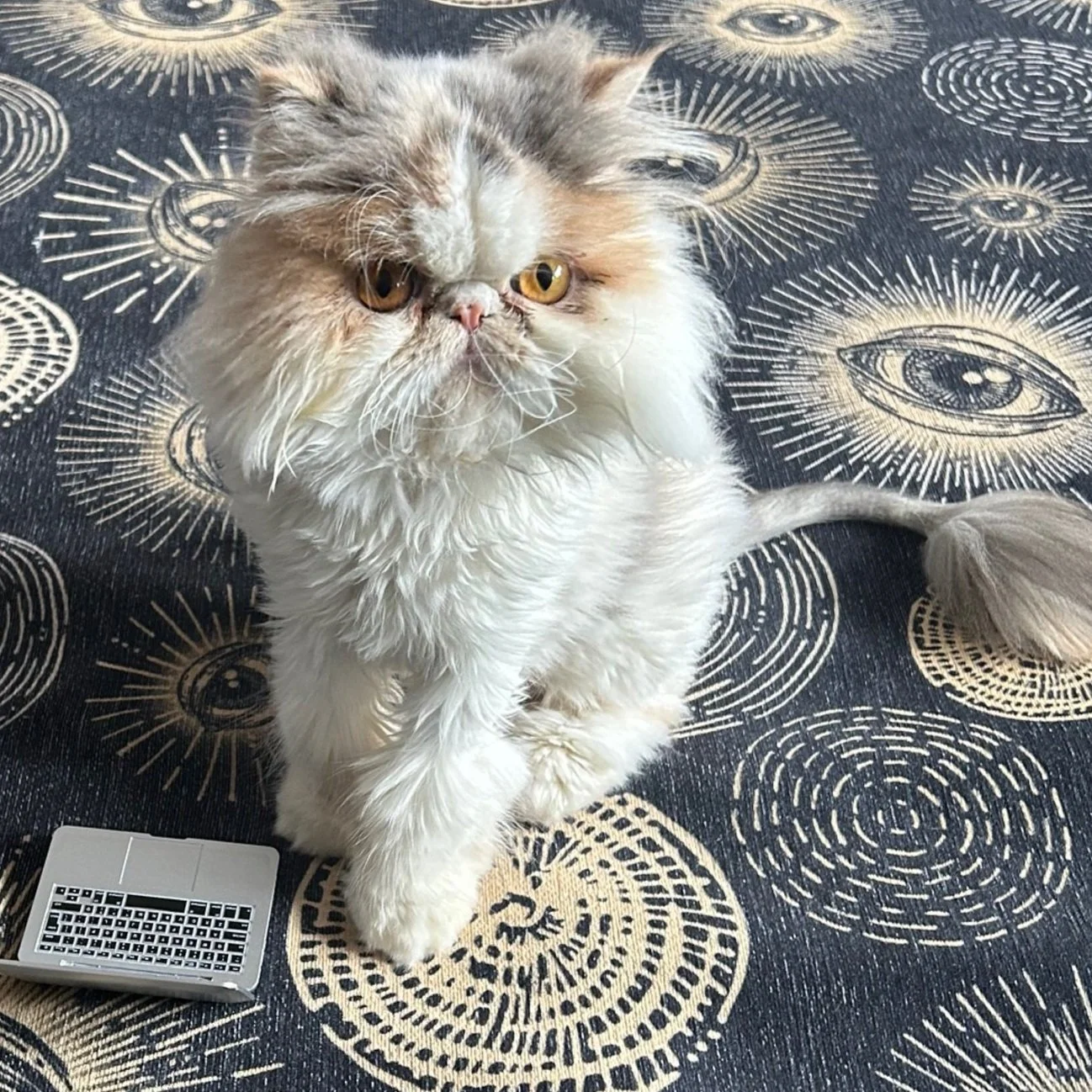 YubNub