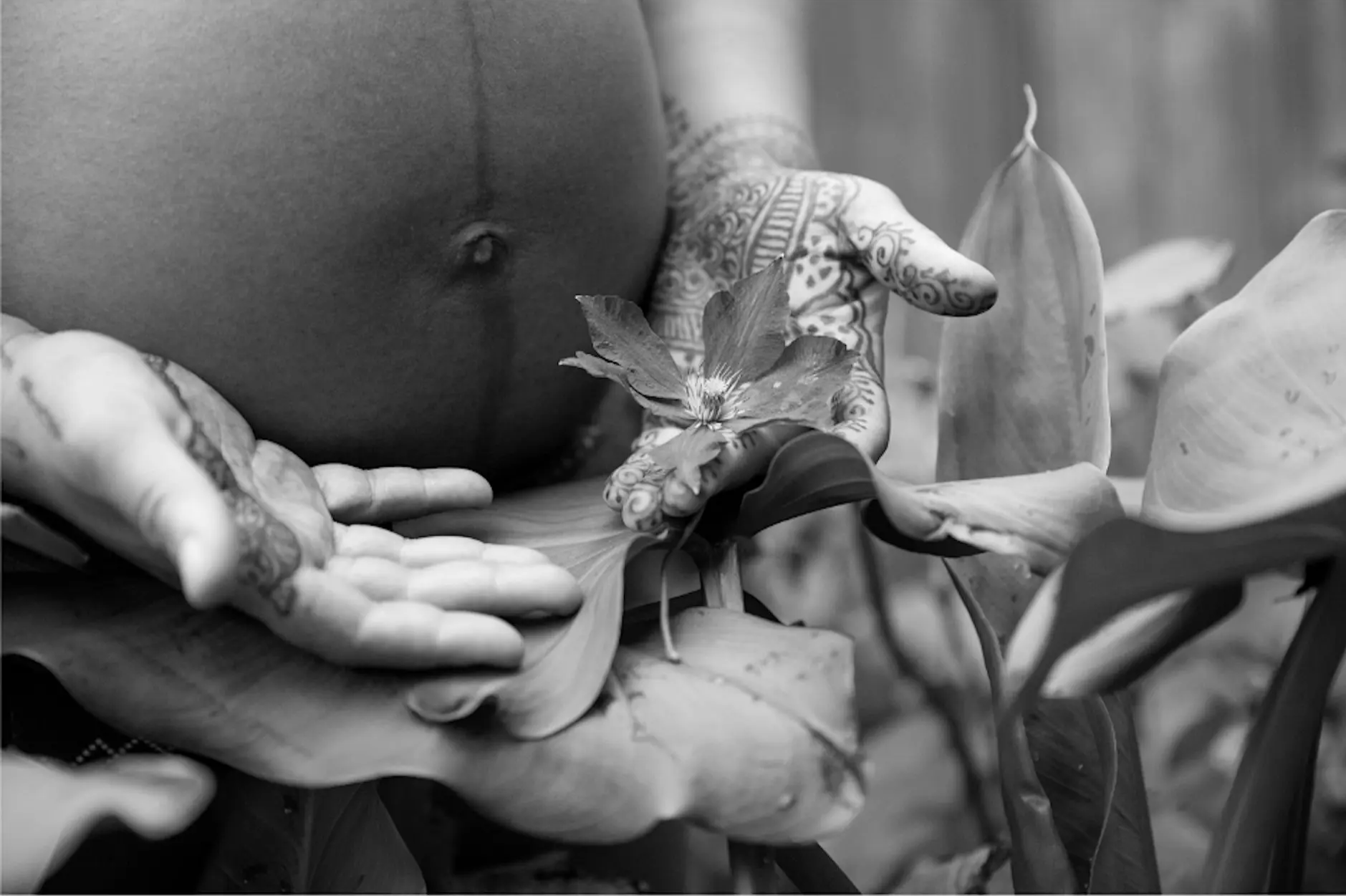 PUSH: Black Mamas Changing the Culture of Birth- April 15 &amp; 16, 2026 