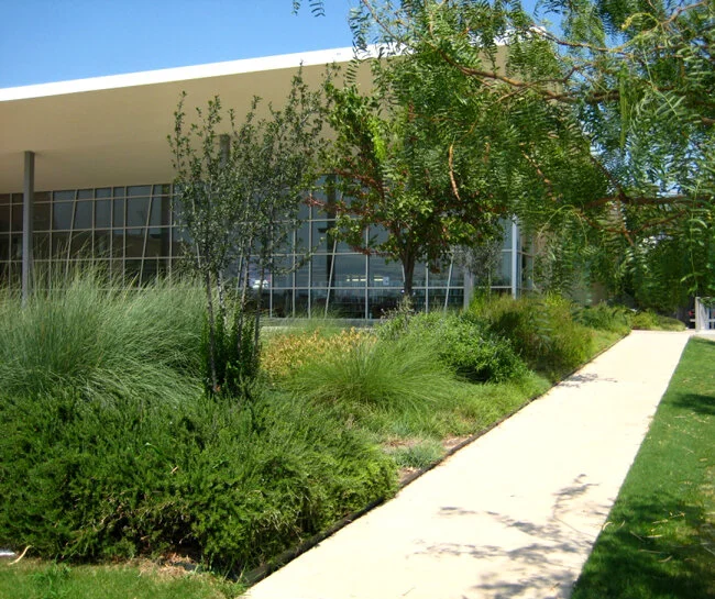 Copy of IMG_0471-web.jpg