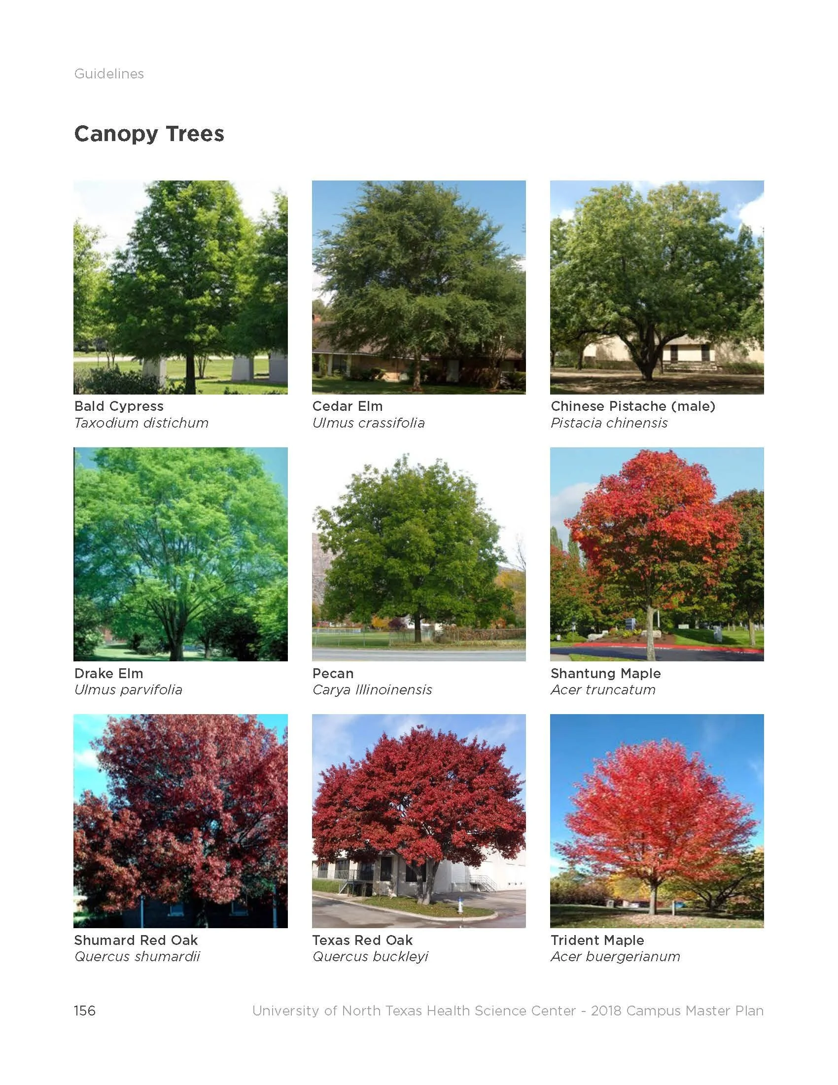 unthsc_2018_campus_master_plan 156.jpg