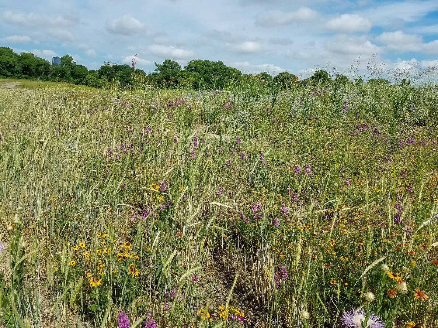 09-20180524 Oxbow A-2.jpg