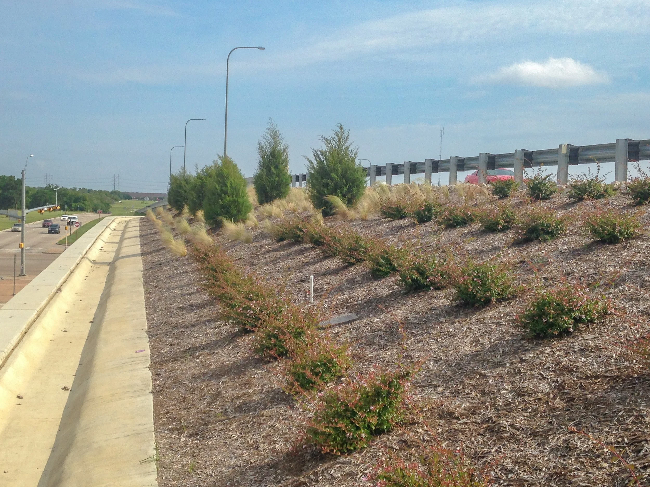 PGBT WE Seg 3 Tree and Plant Installation-2.jpg