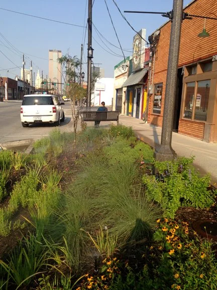 4-DeepEllum_RainGarden5_web.jpg