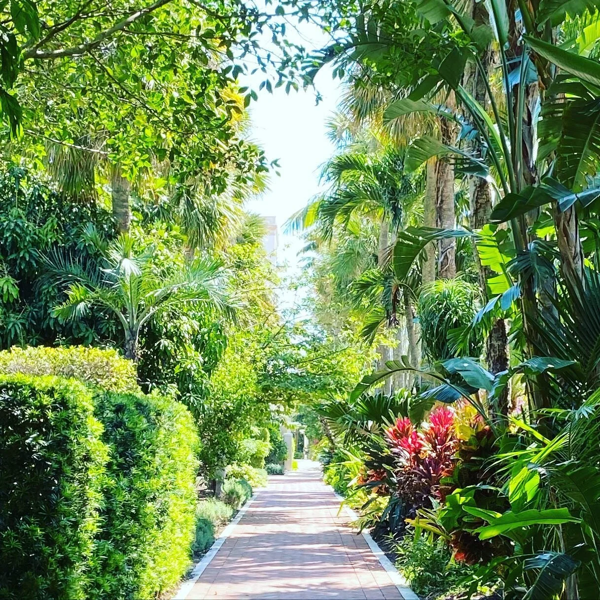 ☀️🌿Morning rays at the beach 🏝🌺Took a bit of a hiatus over the past few weeks to enjoy some R&amp;R with the family. Breaks like these are key for me to revitalize and come back even stronger and more focused. Hoping all of you take time for your 