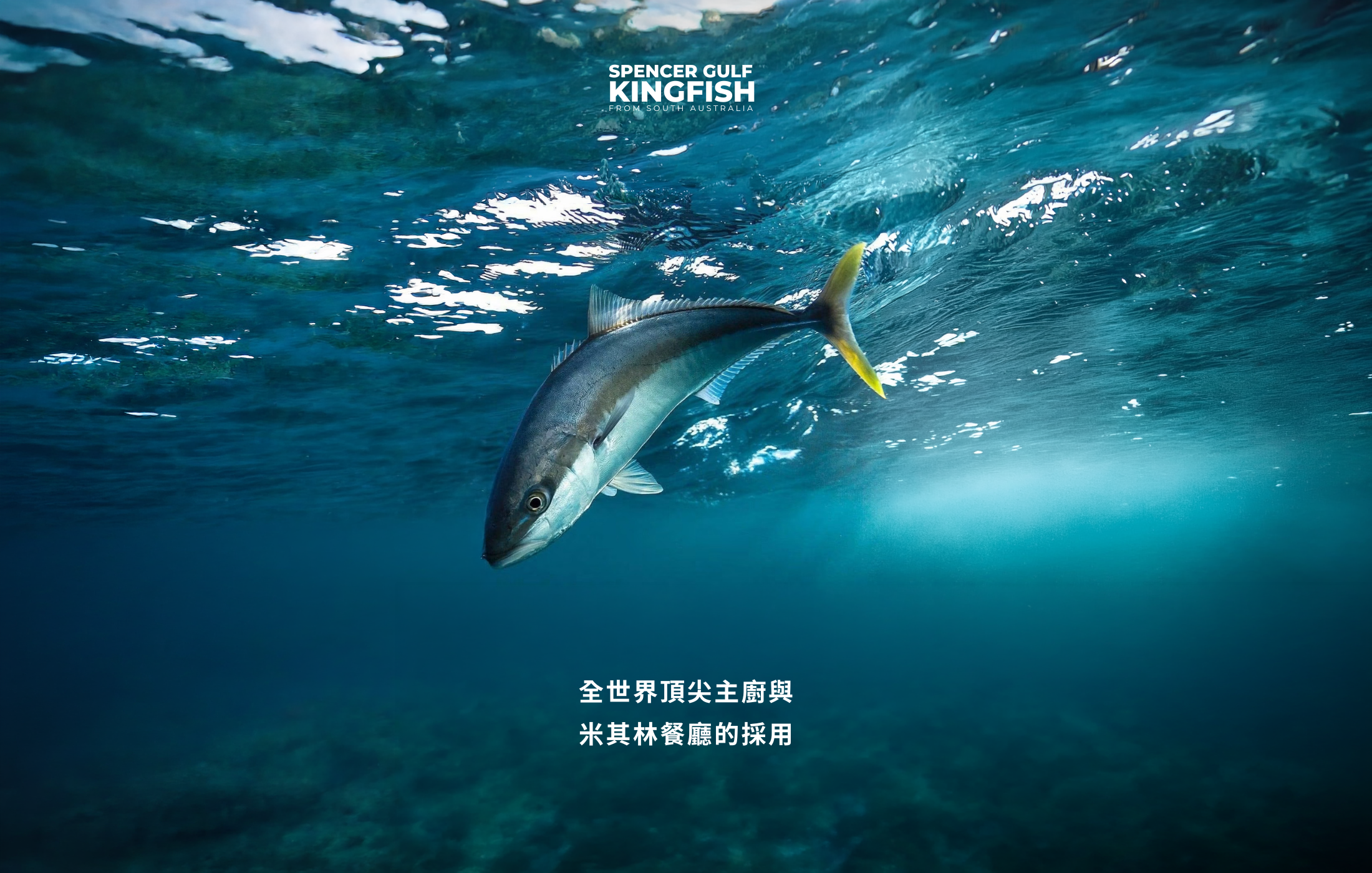 頂之鮮網站 輪播.png