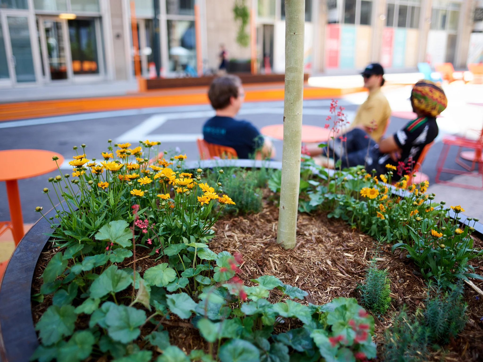 250610-Glenarm Plaza-078-final-web.jpg