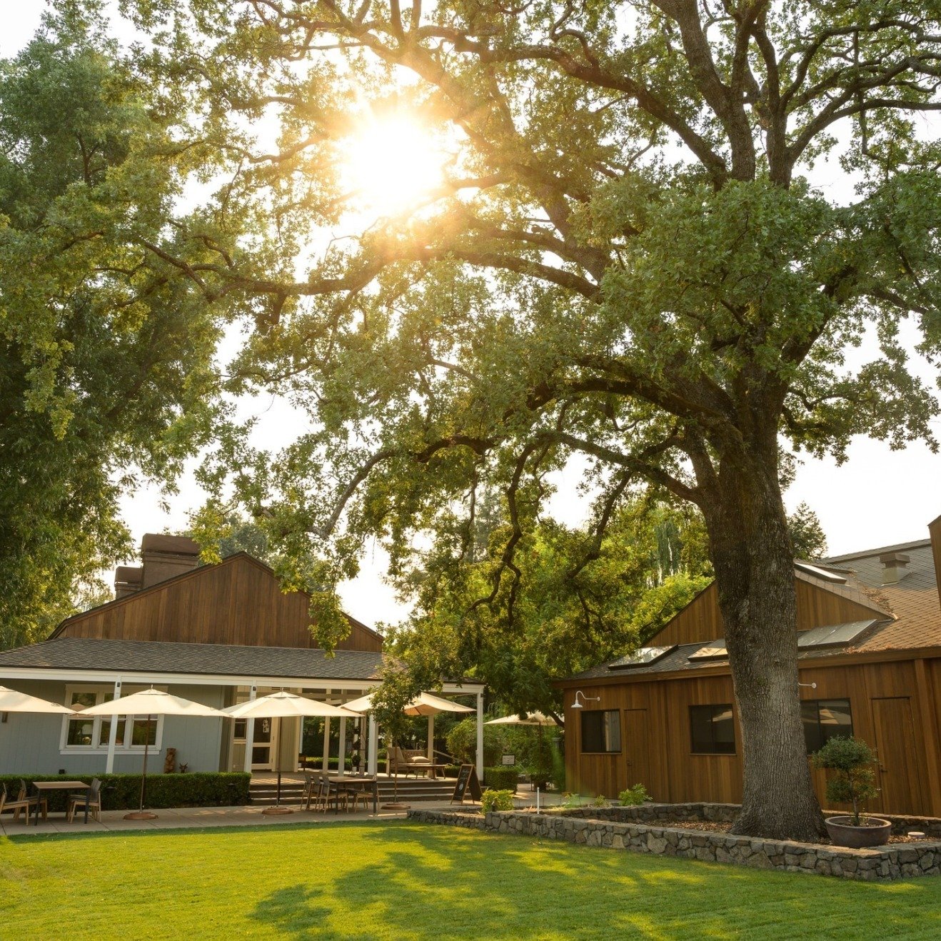 Did you know Jack &amp; Dolores Cakebread once lived in the house onsite at @cakebreadcellars' winery in Rutherford? Now, it plays home to their cooking classes!⁠
⁠
If you&rsquo;re getting ready to plan your next trip to Napa and want something just 
