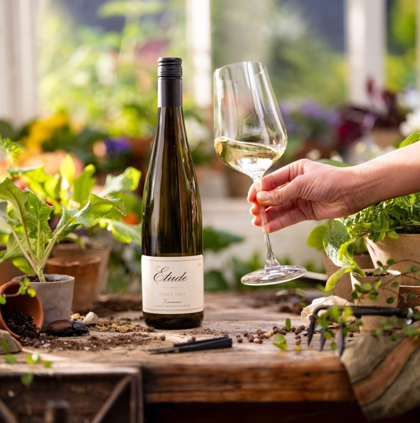 Warm, sunny days? We've got a wine for that. ☀️🍷⁠
⁠
@etudewines' Carneros Pinot Gris is a refreshing sipper that offers lovely white floral aromatics delicately interwoven with subtle tropical notes. Go ahead, take a sip.⁠
⁠
Get your bottle at the l