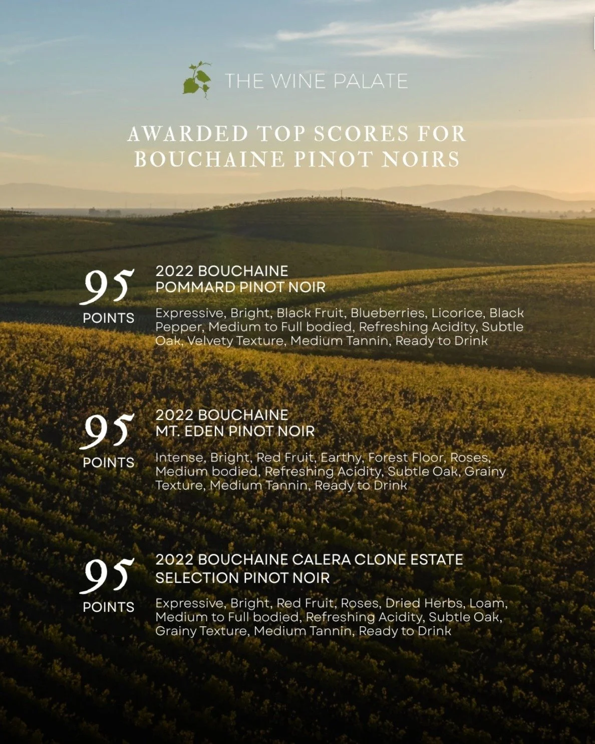 We&rsquo;re so pleased to share that @bouchaine_vineyards 2022 Pinot Noirs have received top scores from renowned wine critic Lisa Perrotti-Brown of The Wine Palate. It&rsquo;s a wonderful acknowledgment of the care and craft that go into each vintag