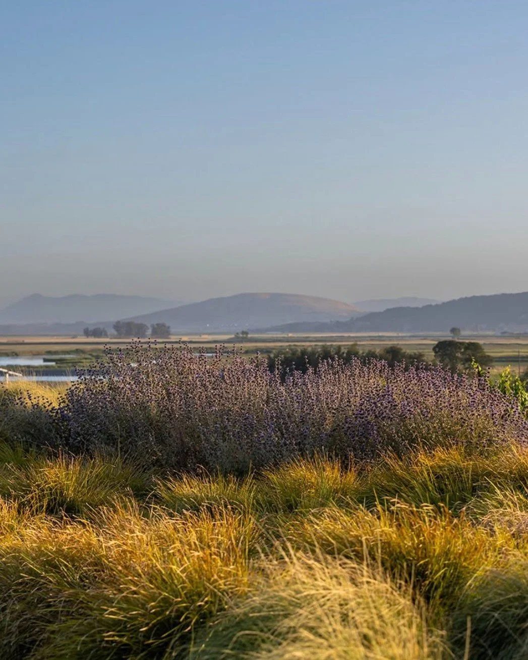 Time passes slowly @donumestate in November 🍷 🌾