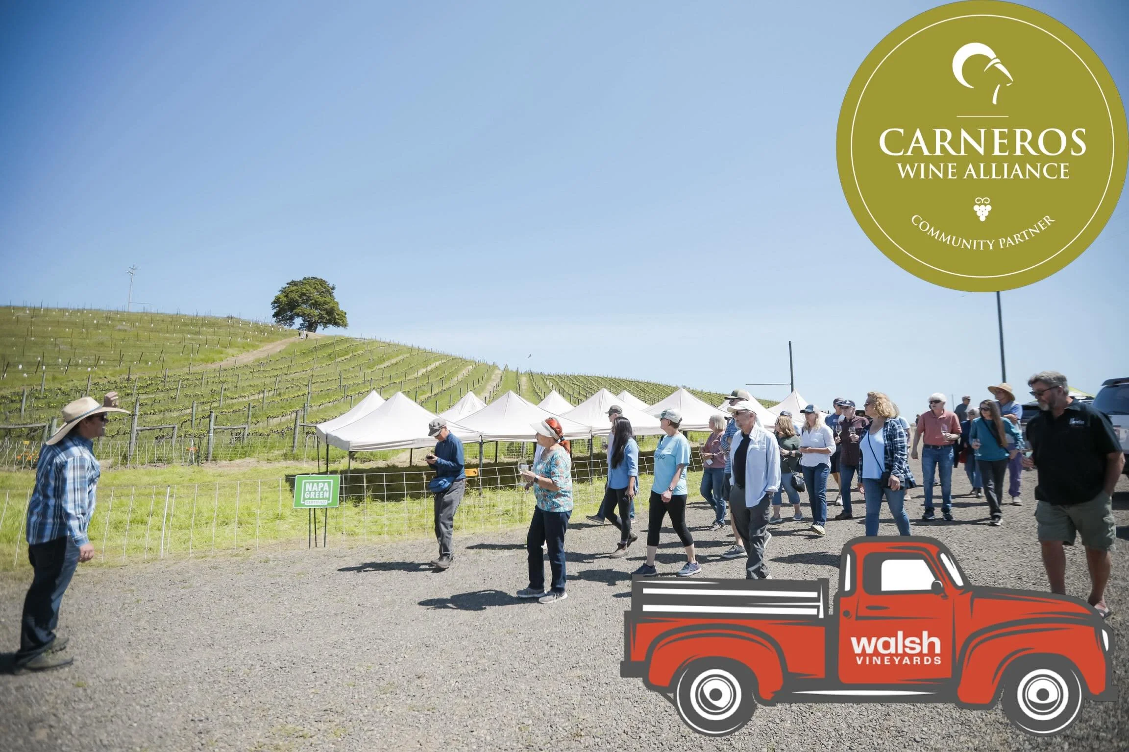 Carneros Wine Alliance welcomes Walsh Vineyard Management as our newest Community Partner!

Napa and Sonoma&rsquo;s premier full-service vineyard management company, Walsh has decades of expertise, from new vineyard design, organic and regenerative c