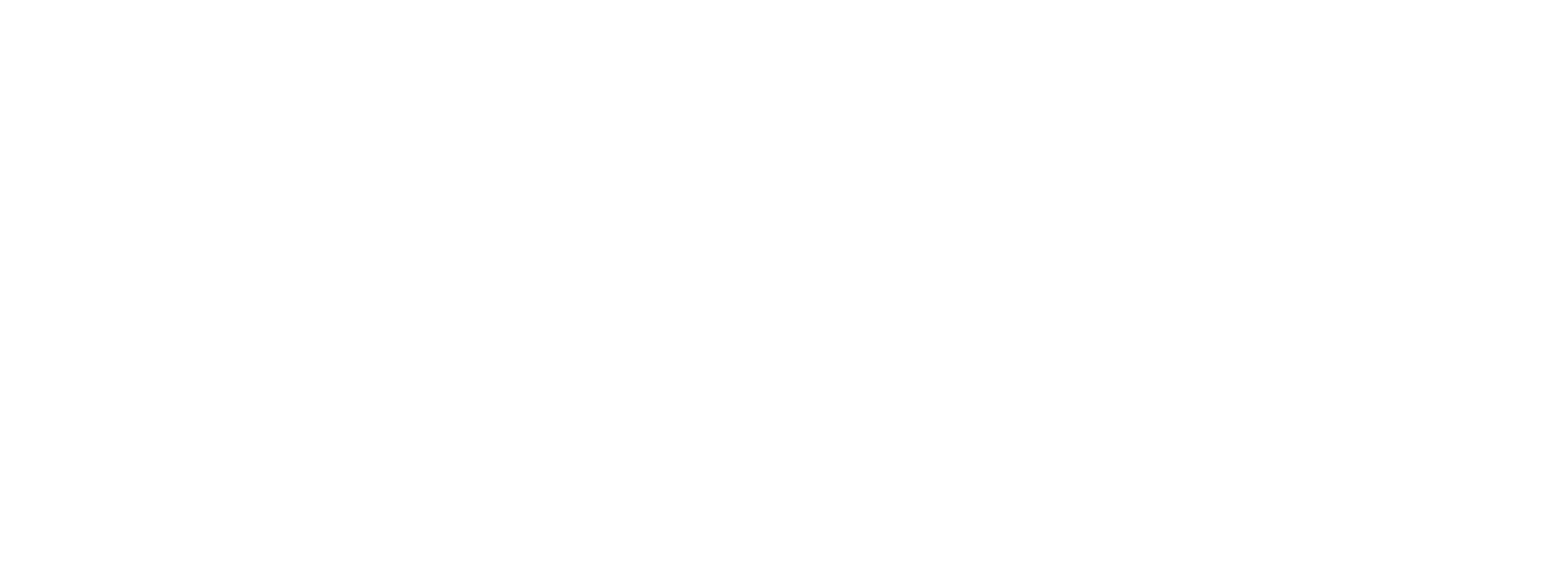 Lillie's Passion-logo-white.png