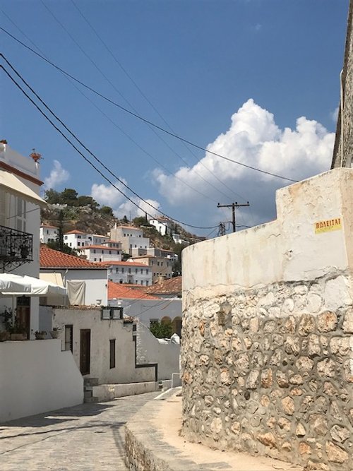 Hydra.jpg