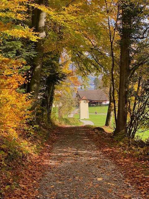 natur.jpg