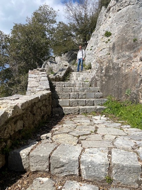 Zalango.jpg
