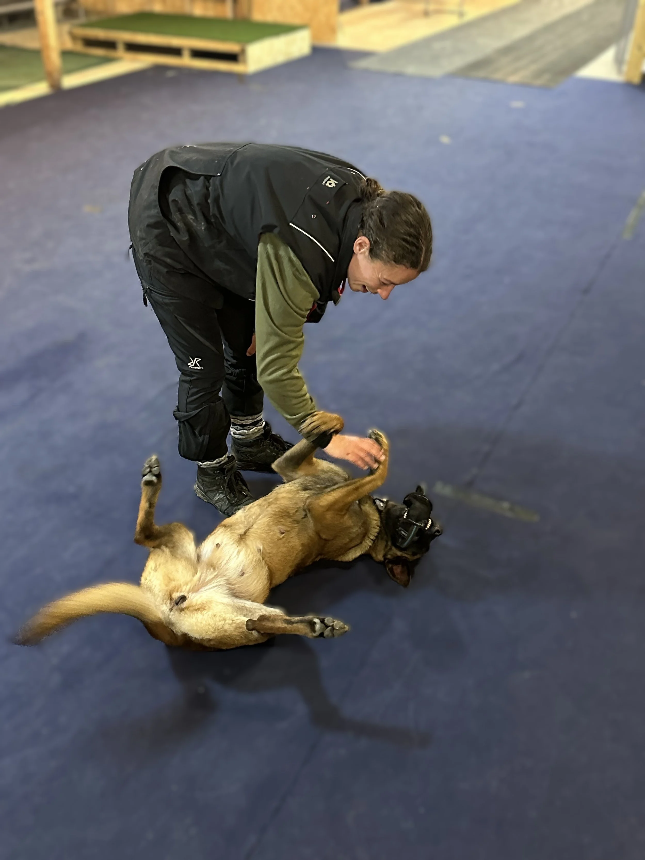 Welcome to the Deliverance Dogs Blog