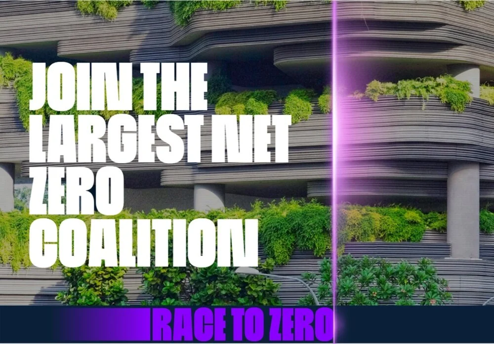 Race+to+Zero. LNZjpg.jpg
