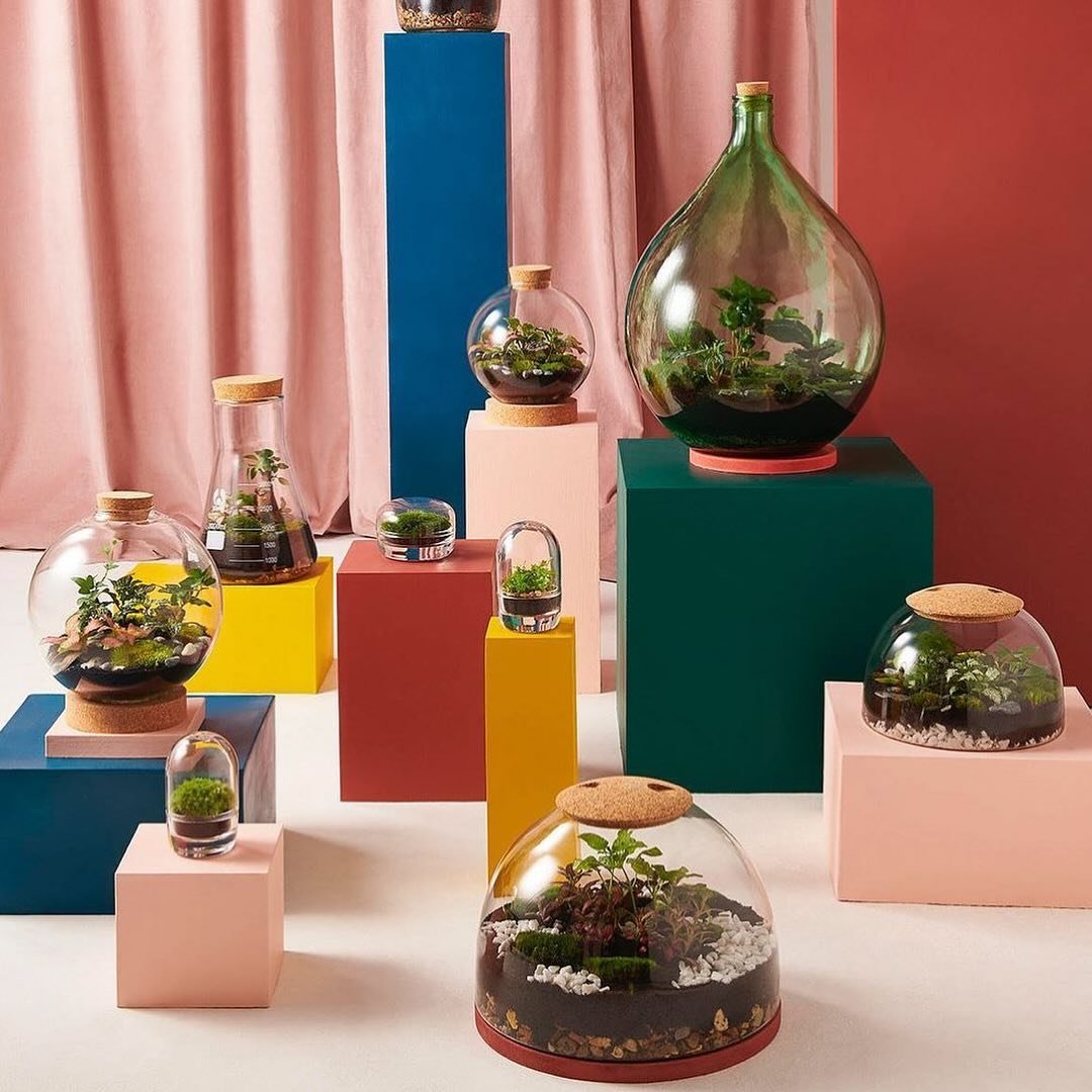 🌵 @londonterrariums 🌵 The absolutely iconic London Terrariums was started in 2014 from founder Emma&rsquo;s kitchen table in Peckham, after not having a garden Emma experimented with making Terrariums and bottle gardens and soon got hooked with wit