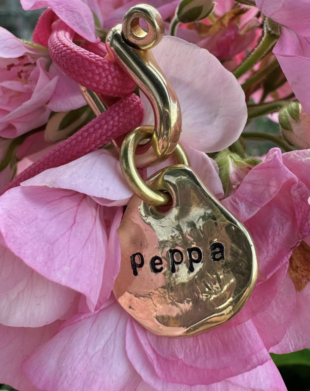 Screenshot 2026-02-09 at 12.31.43.png